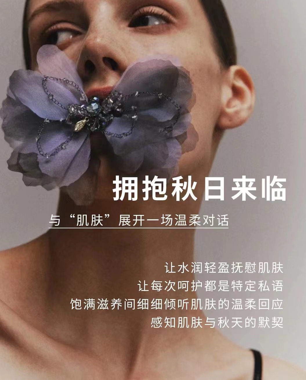 护理方案